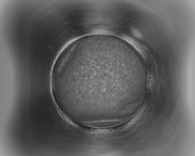 X0000097871094200803211309