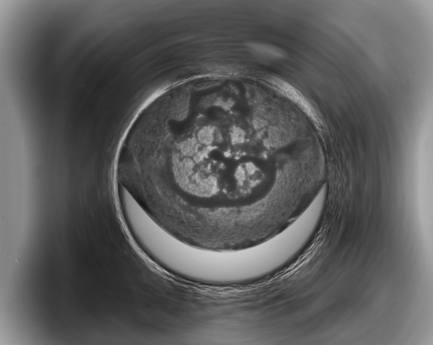 X0000097871095200803211309