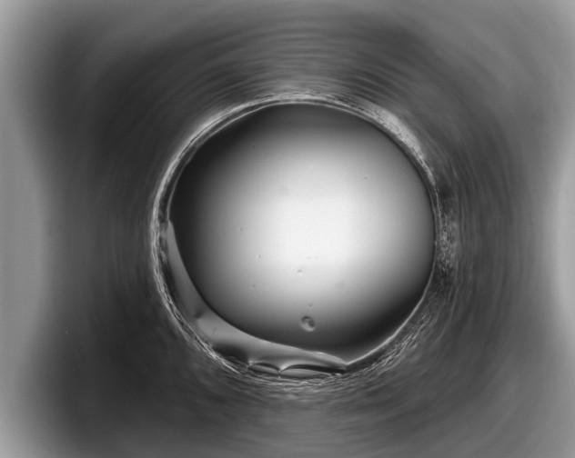 X0000097871096200803211309