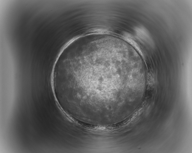 X0000097871098200803211309