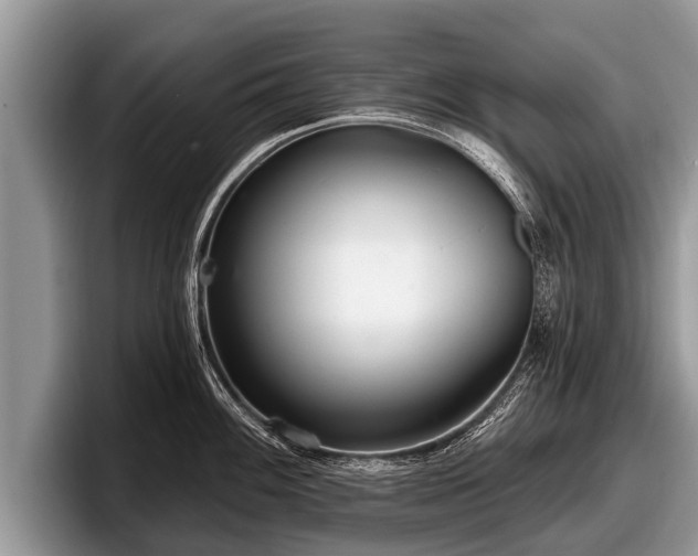 X0000097871100200803211309