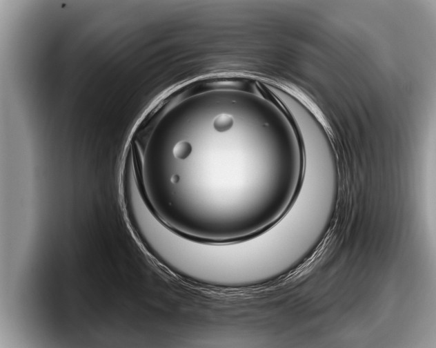 X0000097871101200803211309