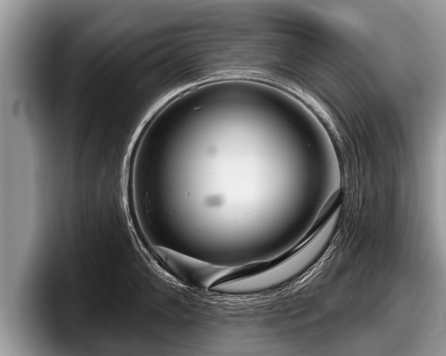 X0000097871102200803211309