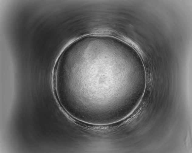 X0000097871103200803211309