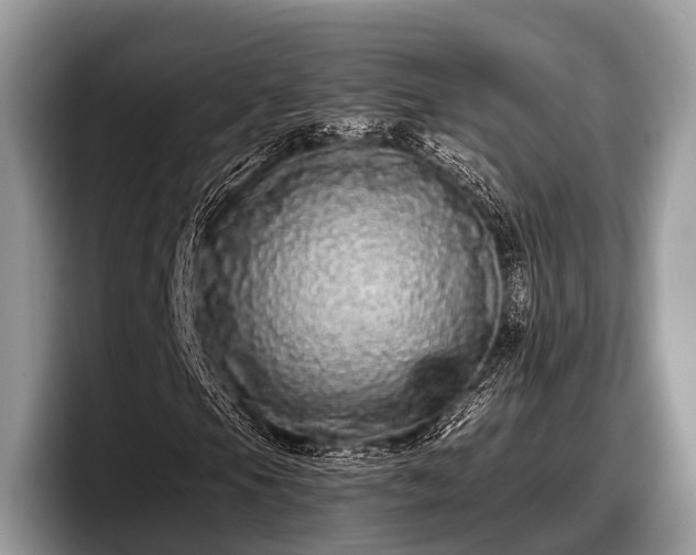 X0000097871105200803211308
