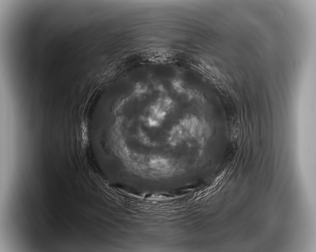 X0000097871106200803211308