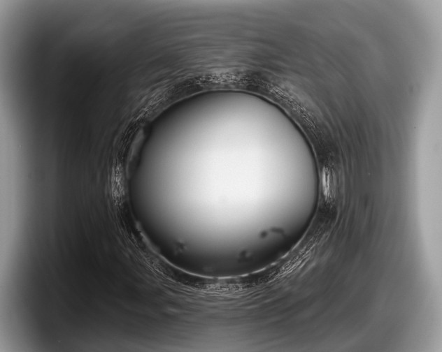 X0000097871107200803211308