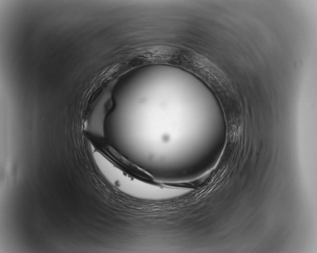 X0000097871108200803211308