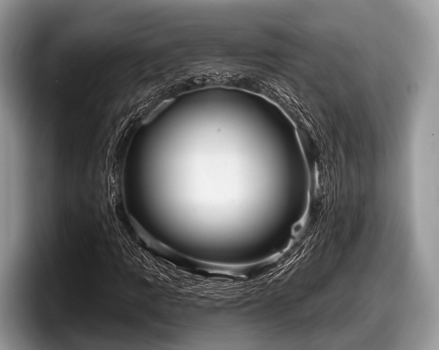 X0000097871109200803211308