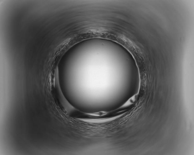 X0000097871110200803211308