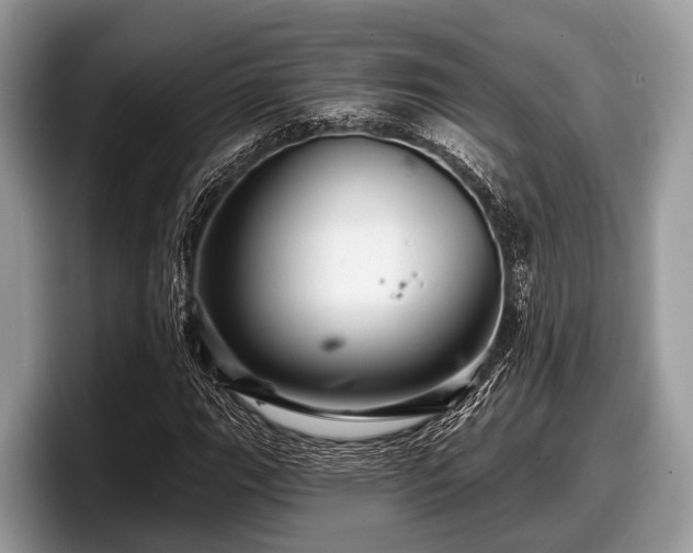 X0000097871111200803211308