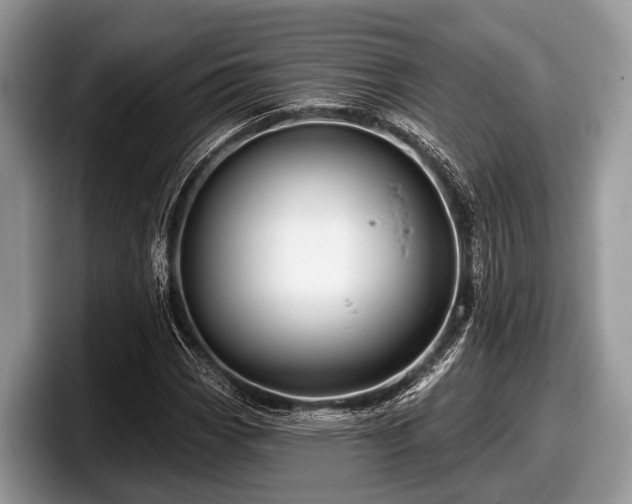 X0000097871113200803211309