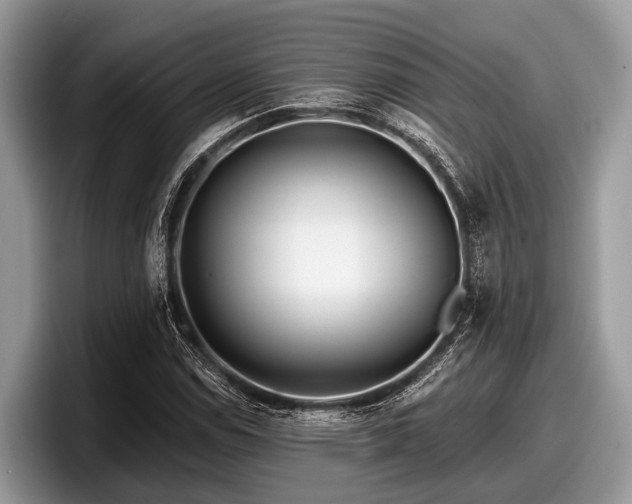 X0000097871114200803211309