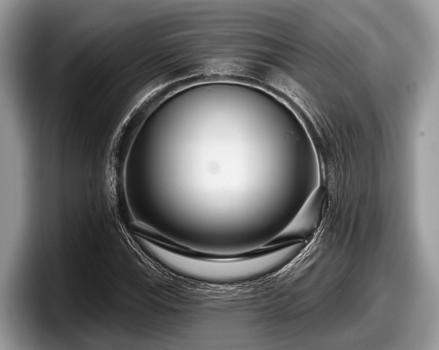 X0000097871115200803211309