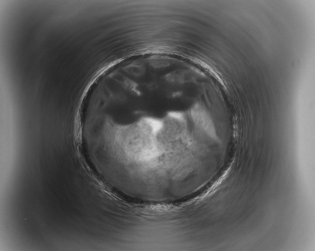 X0000097871117200803211309