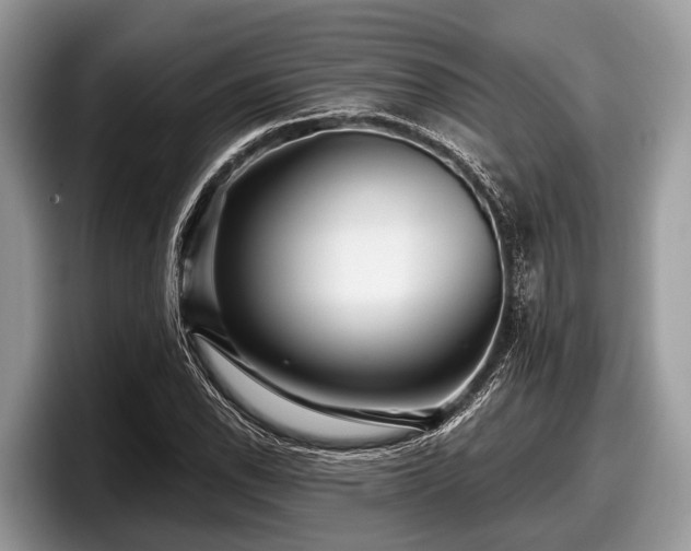 X0000097871118200803211309