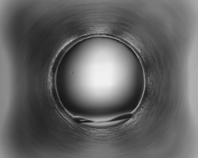 X0000097871119200803211309