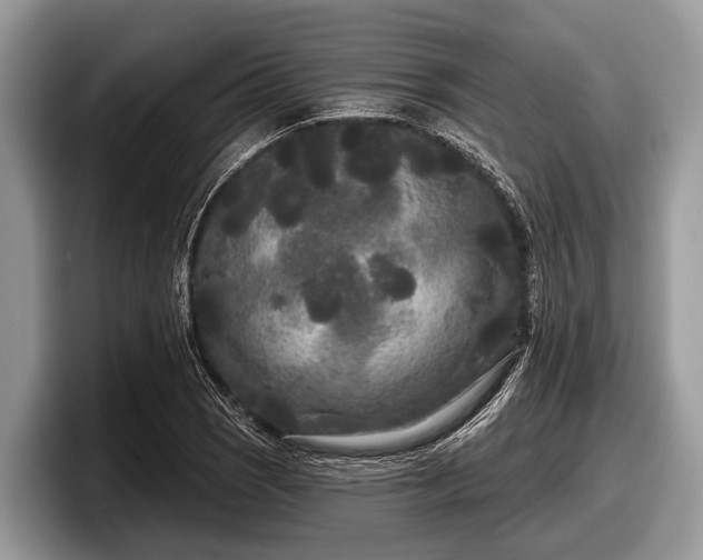 X0000097871121200803211309