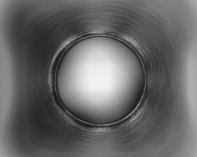 X0000097871122200803211309