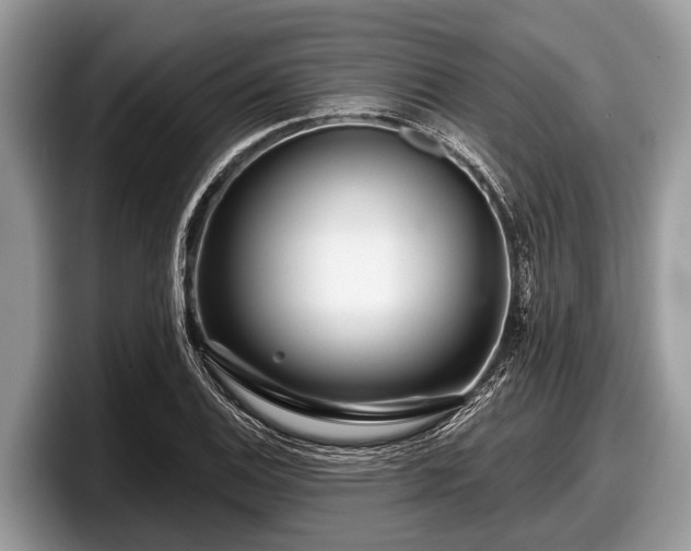 X0000097871124200803211309