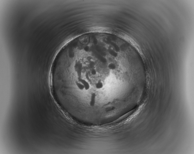 X0000097871125200803211309