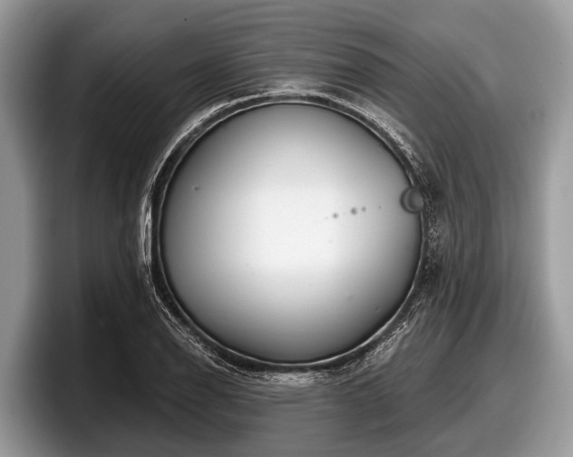 X0000097871126200803211309