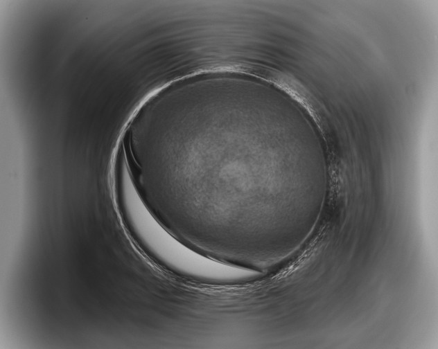 X0000097871127200803211309