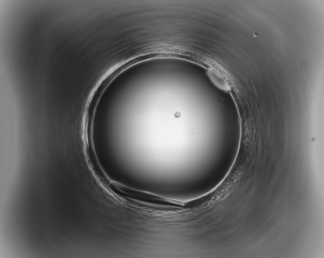 X0000097871128200803211309