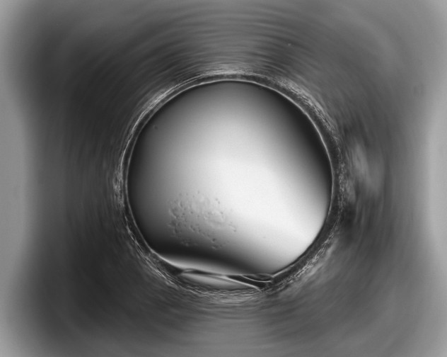 X0000097871129200803211309