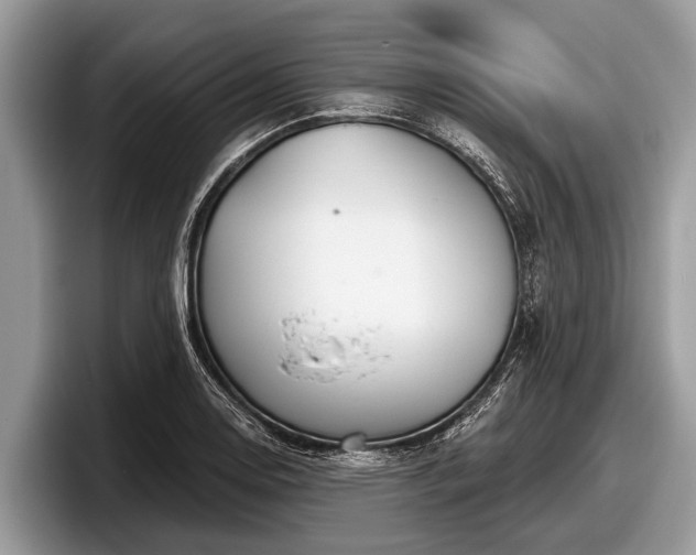 X0000097871130200803211309