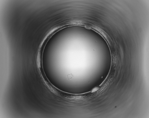 X0000097871131200803211309