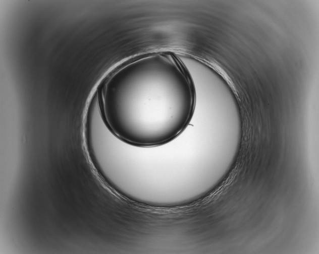 X0000097871132200803211309