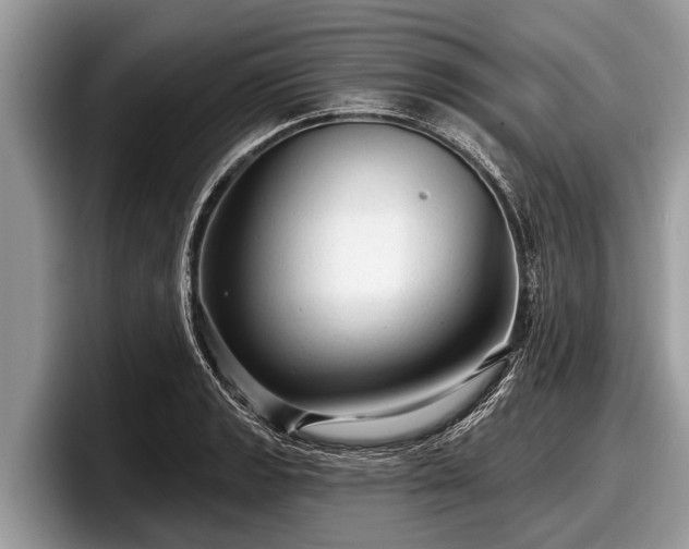 X0000097871133200803211309