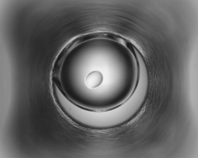 X0000097871134200803211309