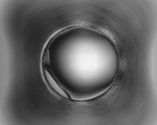 X0000097871136200803211309