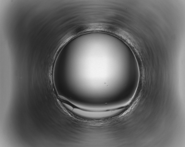 X0000097871137200803211309