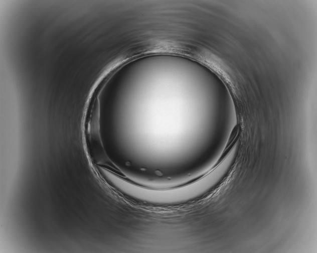 X0000097871138200803211309