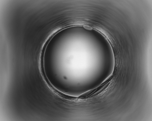 X0000097871139200803211309