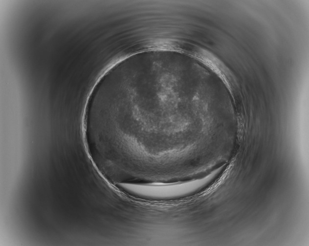 X0000097871141200803211309