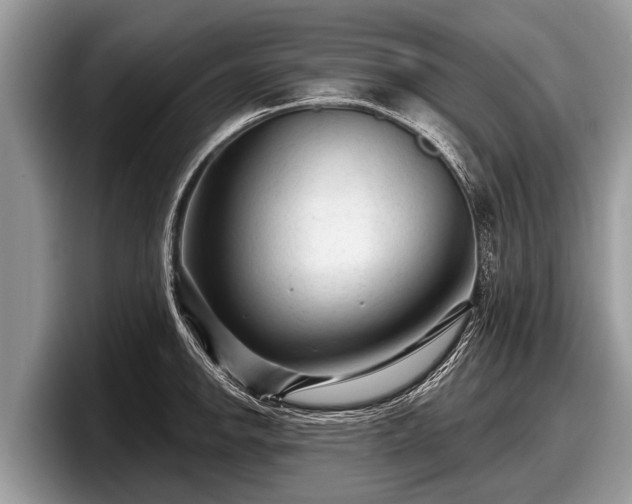 X0000097871142200803211309