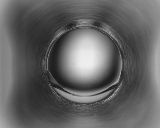 X0000097871145200803211309