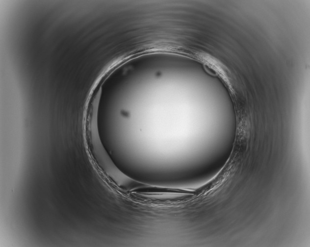X0000097871146200803211309