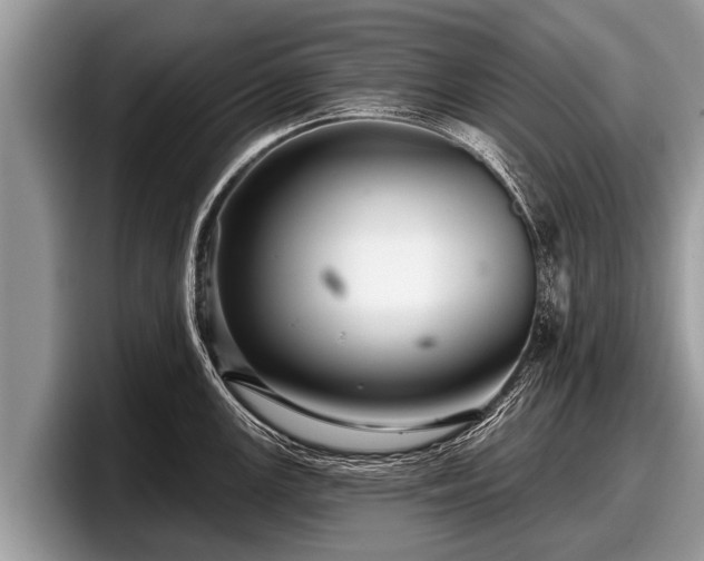 X0000097871147200803211309