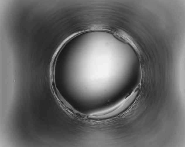 X0000097871148200803211309
