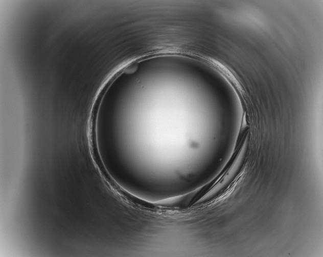 X0000097871149200803211309
