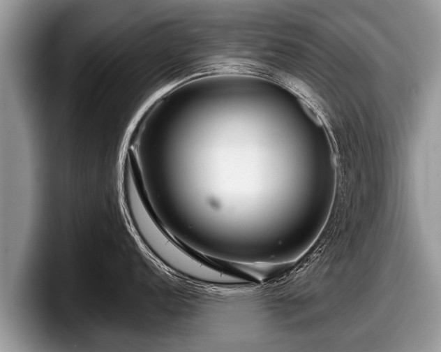 X0000097871152200803211309