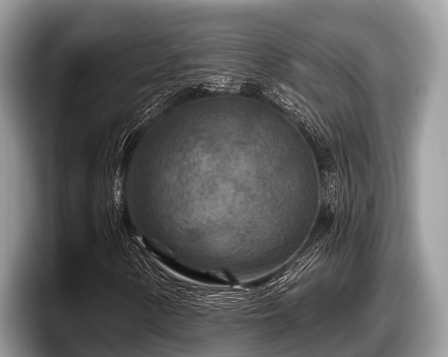 X0000097871154200803211308
