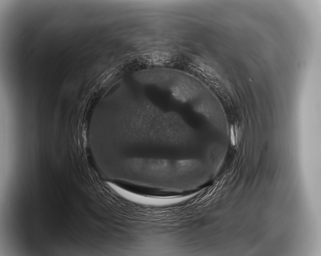 X0000097871155200803211308
