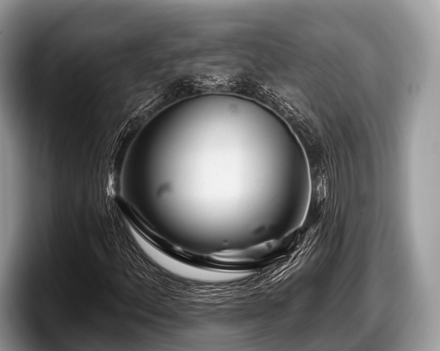 X0000097871156200803211308