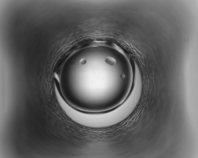 X0000097871157200803211308